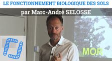 Marc André SELOSSE - Fonctionnement Biologique des Sols by Ver de Terre