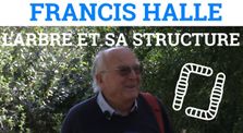 Francis HALLÉ - L'Arbre et sa Structure - Formation Intégrale by Ver de Terre